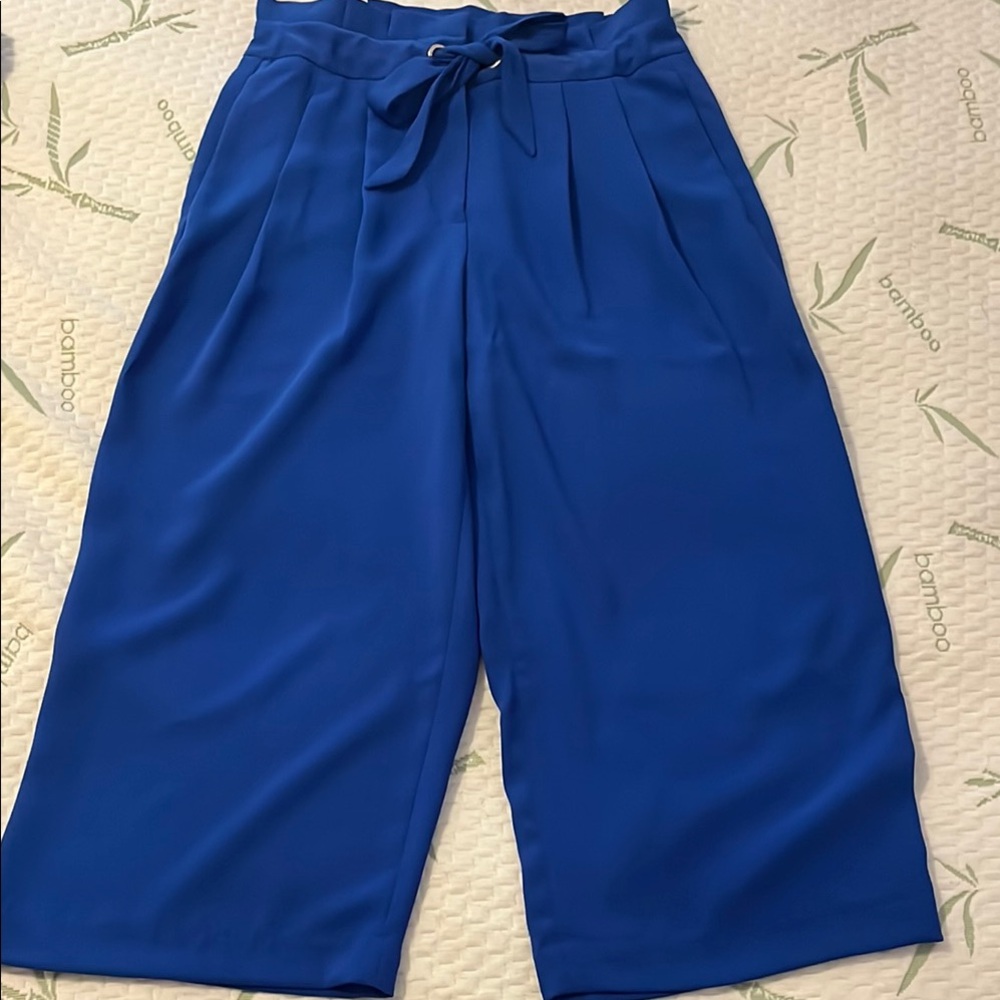 Elegant Blue Women's Culottes